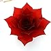 Paper Flower Template Kit Pattern DIY craft Giant Paper Flower Chair Flower Satis