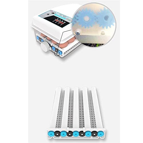 FHISD 24 Eierbrüter Brutmaschinen für Bruteier Brutmaschinen für Wachteleier Automatische Geflügelbrütmaschine mit… – Bild 8