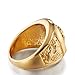 AUMRET Stainless Steel Hip Hop Ring Lion Ring Men Titanium Steel Ring