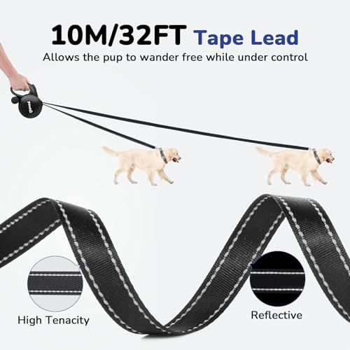 Pecute Retractable Leash for Dogs 10 m (up to 50 kg), Dog Leash with 360° Tangle Free Extended Leash, Non-Slip Handle and Quick Brake Button, Green