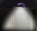 That Company Called If 5101 Really Tiny Booklight - Purple