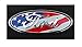 FORD F-250 F-350 2005-2007 USA OVAL FRONT GRILLE 9 INCH LOGO 4L3Z-1542528-AB