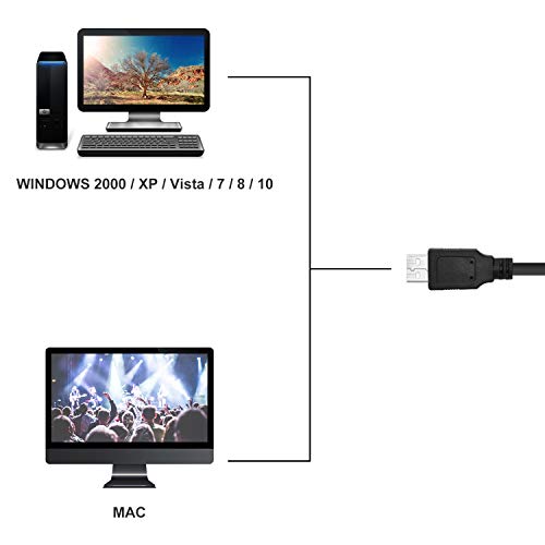 4 Microscope+Handheld+2+0+Magnification+Endoscope+Compatible