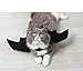 Halloween Pet Bat Wings Cat Dog Bat Costume Pet Dog Bat Wings