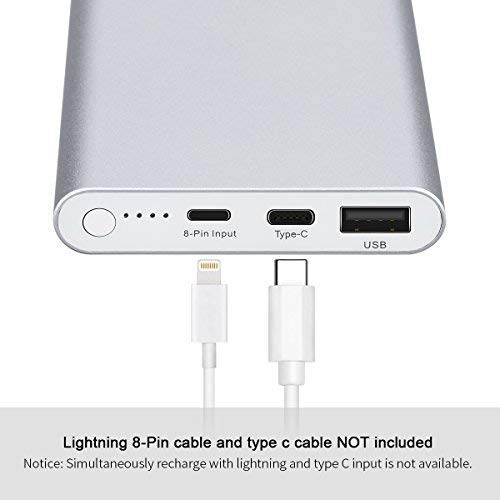 FLOUREON 12000mAh Power Bank Portable Cell Phone Fast Charging External Battery Pack with Type C and Lighting for iPhone,iPad, Samsung and More (Silver) - Thumbnail 2