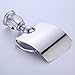 AUSWIND Silver Chrome Polished Toilet Paper Holder Brass Finished Clear Crystal & Glass Tissue Holder Wall Mounted