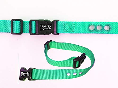 Sparky Pet Co Universal Nylon 1" 3-Consecutive Hole Dog Strap for Remote Trainers (Teal) PIF 275-19