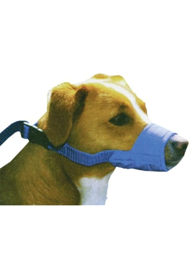 muzzle for blue heeler