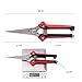 Aynice Pruning Shears, Professional Gardening Shears, Stainless Steel Ultra Sharp Multi-Purpose Hand Pruner Scissors for Garden Harvesting Fruits, Vegetables, Trimming Flowers and Plantsthumb 3