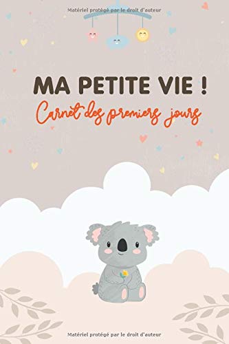 Ma Petite Vie Carnet Des Premiers Jours Suivi De Naissance Journal De Suivi Naissance Bebe Maternite Allaitement A Remplir Avec Une Page Par Les Heures De Siestes Ainsi Que La Duree Vie Mapetite Livres Amazon Fr