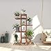 Wisfor Wooden Plant Stand for Indoor Plants, 6 Tiered Tall Plant Shelf Stand for Balcony Garden Flower Display Holder Stand