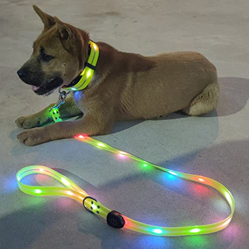 The Best LightUp Dog Leashes Dogtime