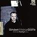 Schubert Edition Vol.7