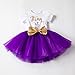 Newborn Baby Girl Princess It's My 1st/2nd Birthday Party Cake Smash Shinny Sequin Bow Tie Tulle Tutu Dress Outfit Purple (1 Year)