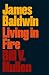 James Baldwin: Living in Fire (Revolutionary Lives) by