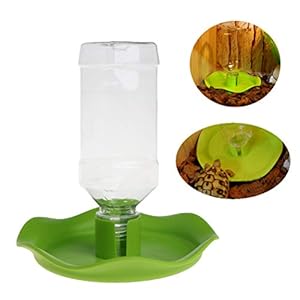 Balacoo Rettile Acqua Automatico Alimentatore Bacino Fontanella Rettile Acqua Bottiglia Tartaruga Lizard Acqua… Marca: Balacoo Balacoo Rettile Acqua Automatico Alimentatore Bacino Fontanella Rettile Acqua Bottiglia Tartaruga Lizard Acqua…