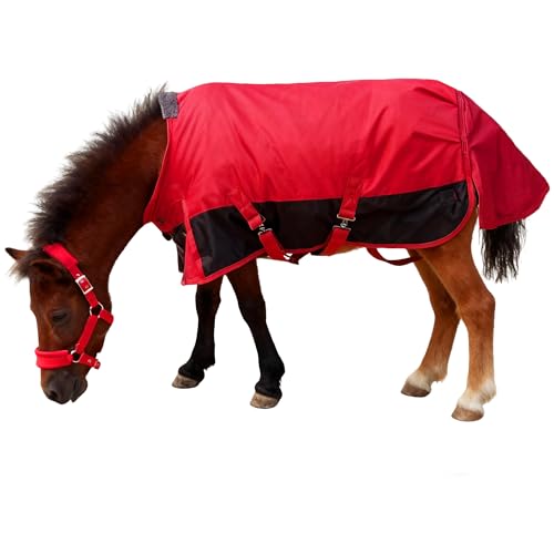Perixir Mini Horse Turnout Blanket