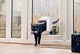 SureFlap Microchip Cat Flap Connect with Hub DualScan RFID Collar Tags view 3