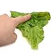 Hagao Fake Lettuce Leaves Artificial Vegetables Lettuces Simulation Plastic Lifelike for House Kitchen Party Pub Decoration Cabinet Ornament 3 pcs
