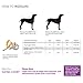 HDE Dog Raincoat Jacket Reflective Adjustable Hooded Pet Poncho Rain Coat with Leash Hole for Small to X-Large Dogs Red - M