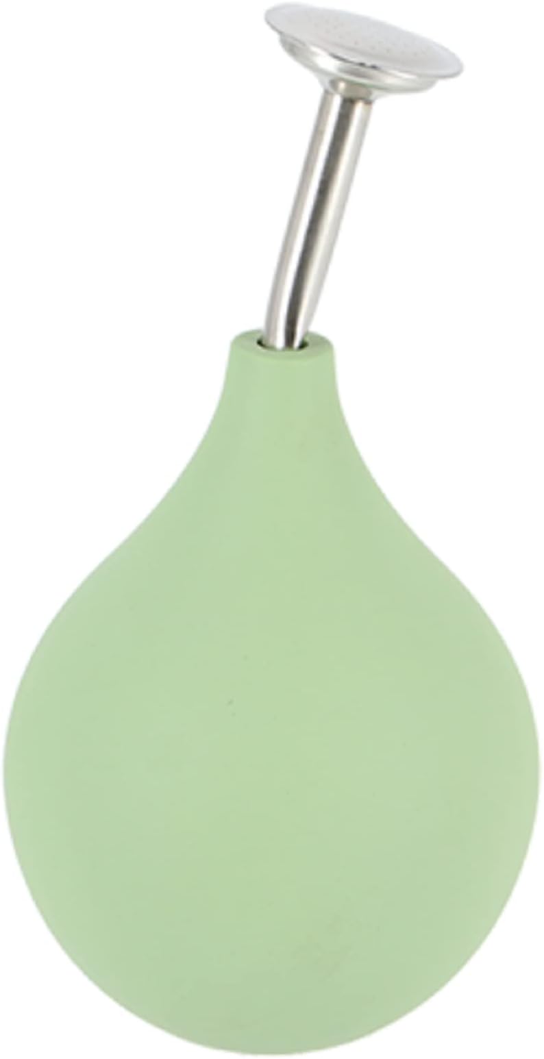 Esschert Design Plant Flower Sprayer Hand Silver Green Water Mist Sprinkler Ball