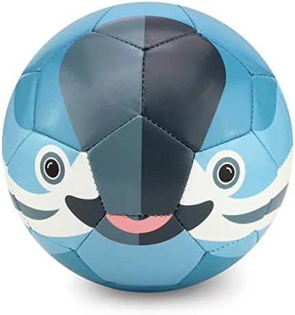 Daball Kid and Toddler Soccer Ball - Size 1 and Size 3, Pump and Gift Box Included