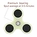 Nicpay EDC Fidget Hand Spinner Toy Stress Reducer - Ultra Fast Bearings Fidget Toys for Adults and Kids (Glow In The Dark)