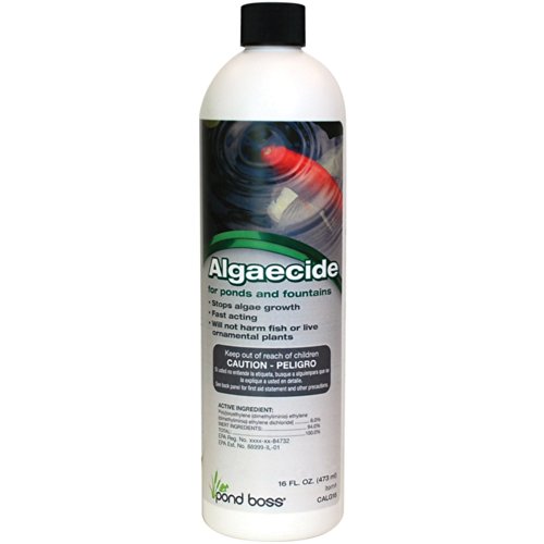 TotalPond 16 Oz. Algaecide For Ponds And Fountains on Galleon Philippines