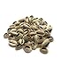 Authentic Cowrie Shells For Necklace, Choker, Bracelets, Earrings, Ring, Hair And African Inspired Fashion Jewelry Instead Of Beads. Smooth Cut-Back Edges. 120 Pieces