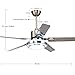 RainierLight Modern Ceiling Fan 5 Stainless Steel Blades Remote Control LED 3 LED Changing Light (White/ Warm/ Yellow) for Indoor Mute Energy Saving Electric Fan (48inch)