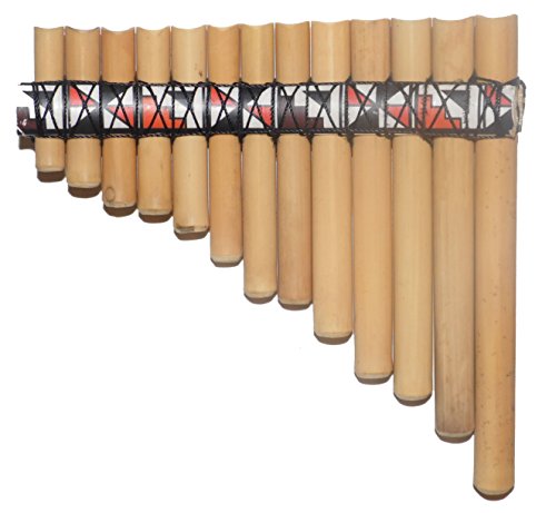 Beginners Bamboo Pan Flute Case Guide Book Amp Online