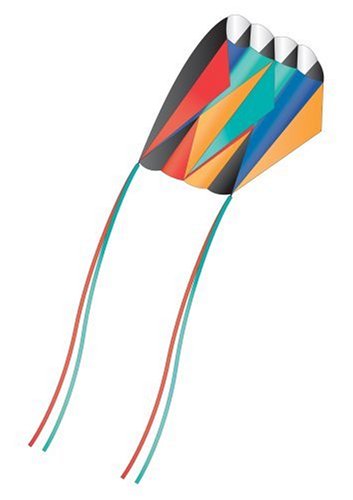 X-Kites Skyfoil Frameless Parafoil Kite: Plasma