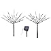 Solar Starburst Branches Garden Decor Yard Stakes - Set Of 2, White