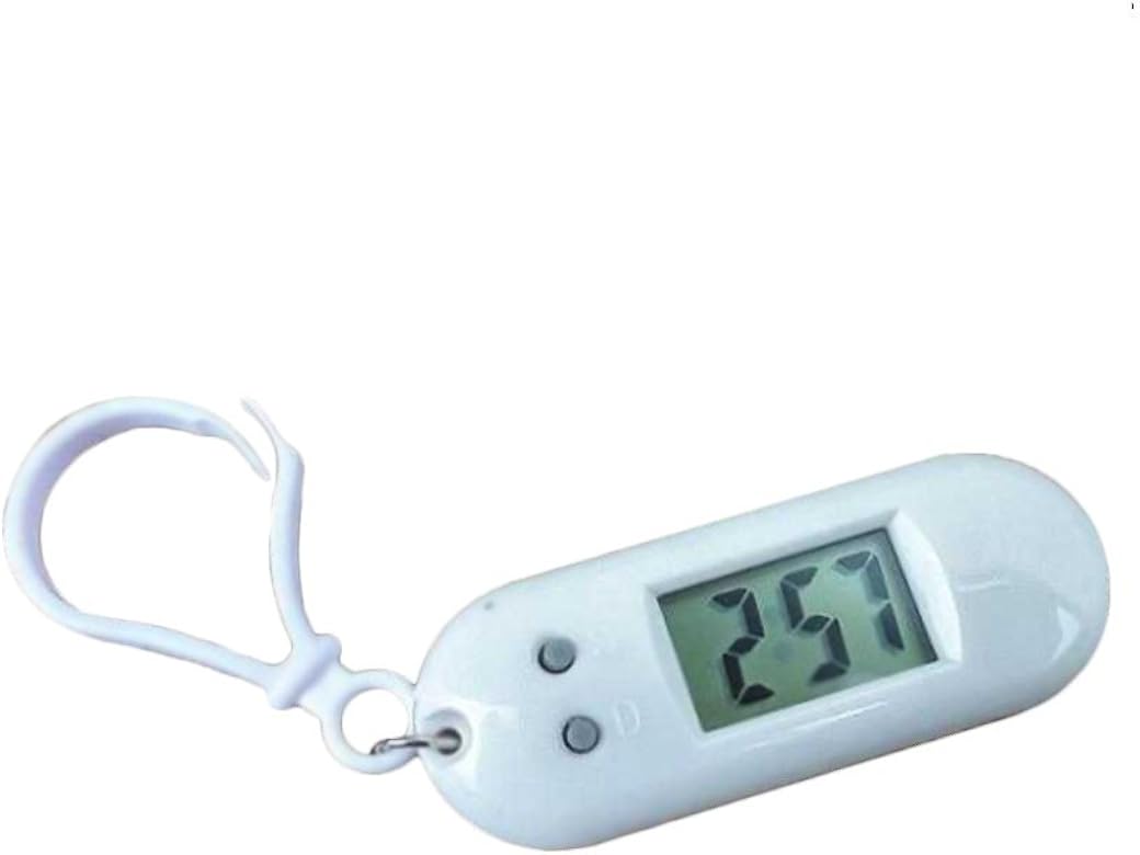 digital keychain watch