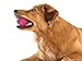 West Paw Zogoflex Air Boz Dog Toy – Floatable Pet Ball for Dogs, Fetch, Play, Chewing – Non-Toxic, Recyclable, Latex-Free Canine Toys – Durable Exterior Texture, Bouncy Squishy Ball, Large, Currant