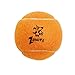 Zanies Puppy Pride Tennis Balls for Dogs, 6-Pack – 2.5-Inch Diameter Tennis Balls Match the Rainbow Pride Flag Colors