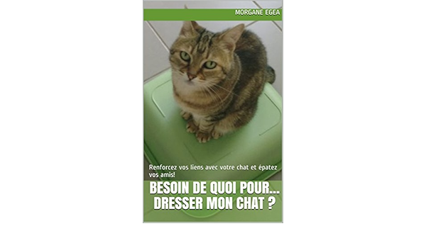 Besoin De Quoi Pour Dresser Mon Chat Renforcez Vos Liens Avec Votre Chat Et Epatez Vos Amis French Edition Kindle Edition By Egea Morgane Crafts Hobbies Home Kindle Ebooks