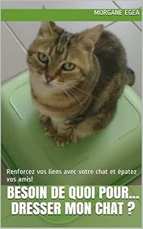 Besoin De Quoi Pour Dresser Mon Chat Renforcez Vos Liens Avec Votre Chat Et Epatez Vos Amis French Edition Kindle Edition By Egea Morgane Crafts Hobbies Home Kindle Ebooks