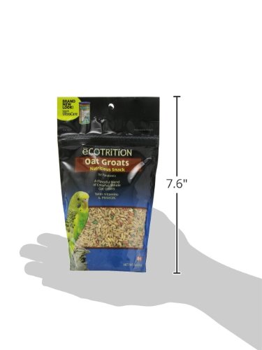 eCotrition Oat Groats Nutritious Snack For Parakeets, 8-Ounce - Thumbnail 4