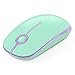 Jelly Comb 2.4G Slim Wireless Mouse with Nano Receiver, Less Noise, Portable Mobile Optical Mice for Notebook, PC, Laptop, Computer, MacBook MS001 (Green and Purple)