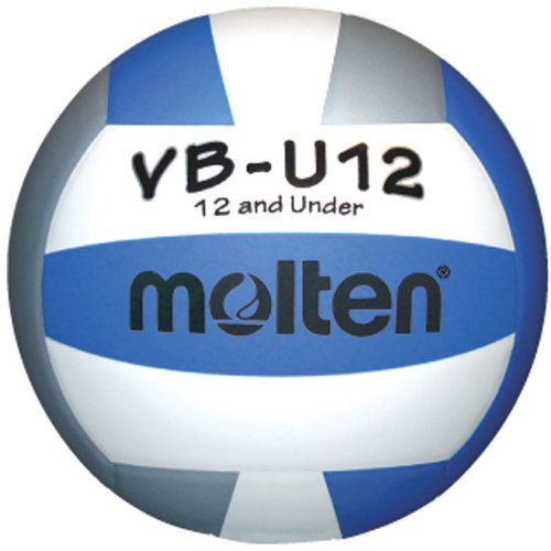 Top 10 Volleylite Volleyballs of 2020 No Place Called Home
