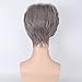 SaiDeng Women Gradient Stylish Harajuku Style Oblique Bang Cosplay Short Hair Wig Granny Gray 45cm