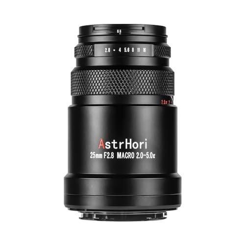 Canon 25mm F2.8 2X-5X Ultra Macro Lens