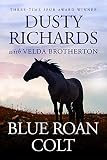Blue Roan Colt by