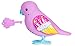 Little Live Pets Bird - Carrie Wishes