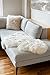 Overland Single-Pelt Long-Wool Australian Sheepskin Rug, IVORY, Size 1 SIZE