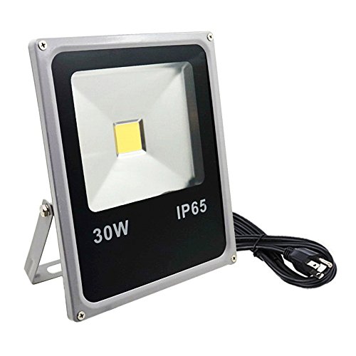 Floodoor LED Flood Light,30W Daylight White,US 3 Prong Plug,Sufficient Wattage,Waterproof,Outdoor Advertising House Garden Yard Decoration Lanscape