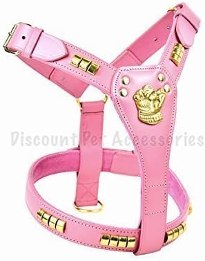 elitefield dog kennel