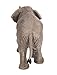 Safari Ltd. Asian Elephant Baby Figurine - Hand-Painted, Lifelike 3.7