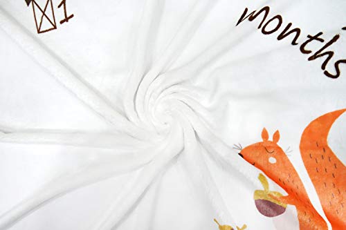 Softan Baby Monthly Milestone Blanket Girl Boy | Soft Photography Background Growth Blanket with Bonus Floral Wreath | Baby Month Blanket | Newborn Girls Boys Photo Prop | Baby Shower Gift - Thumbnail 6